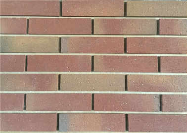 O tapume do tijolo/painéis exteriores, tijolo do falso almofada o tamanho exterior 240x60x12mm