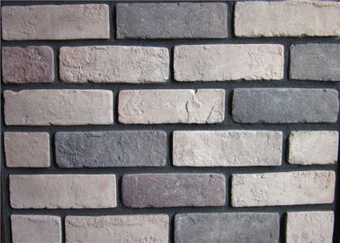 Falso cinzento tijolo exterior Enviromentall personalizado da cor amigável