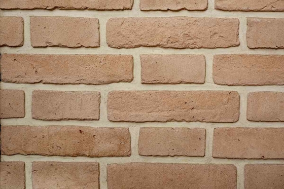 Escala de superfície especial do tamanho 200x55x12mm Clay Brick For Wall Decoration das cores interno e exterior