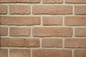 Escala de superfície especial do tamanho 200x55x12mm Clay Brick For Wall Decoration das cores interno e exterior