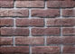 Datilografe uma série que constrói o tijolo fino do folheado com tamanho 205x55x12mm para a parede