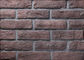 Datilografe uma série que constrói o tijolo fino do folheado com tamanho 205x55x12mm para a parede